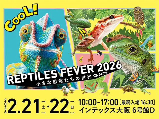 2/21(土)22(日) インテックス大阪で行われる「レプタイルズフィーバー2026 Winter ～小さな恐竜たちの世界～」に出展します。